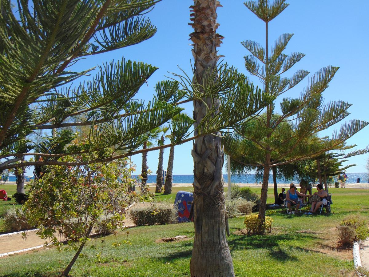 Apartamentos Varios Con 2 Dorm En Marina Dor , La Playa De Amplaries 47 , Vista Lateral Al Mar Oropesa del Mar Exteriör bild